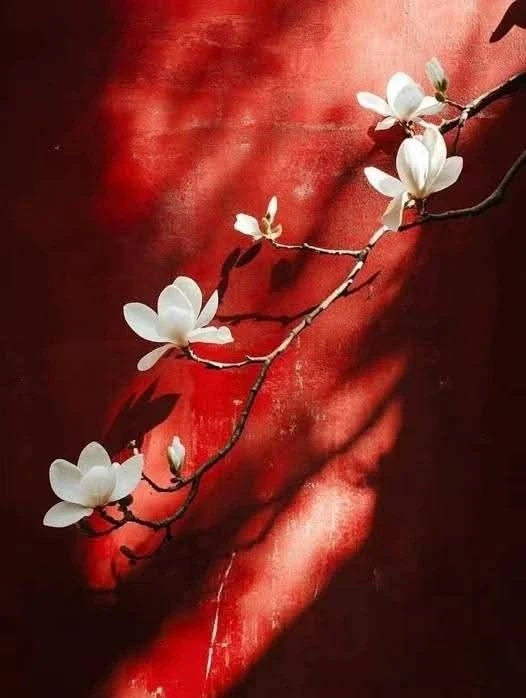 Lunar New Year Reflections